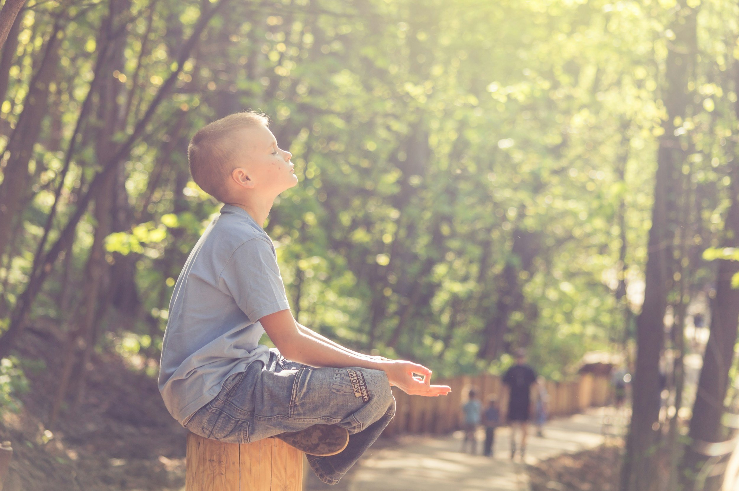 Young child in nature — personal growth and education